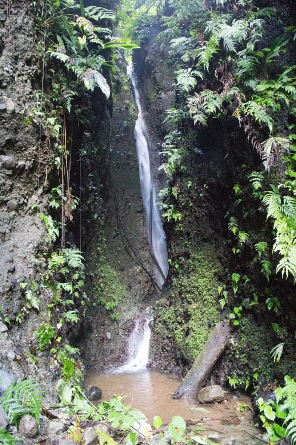 Finca Sueno De Osa Puerto Jiménez 외부 사진