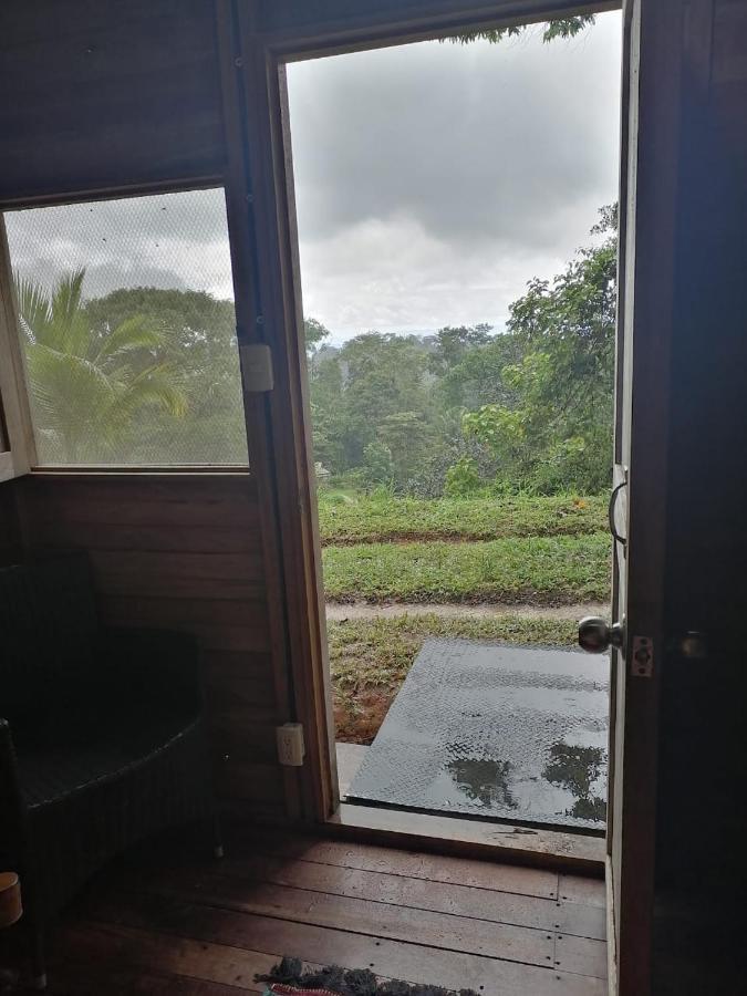 Finca Sueno De Osa Puerto Jiménez 외부 사진