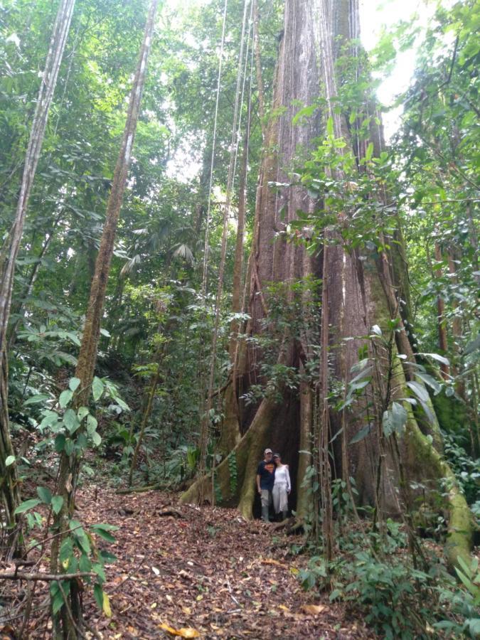 Finca Sueno De Osa Puerto Jiménez 외부 사진