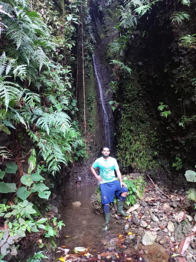 Finca Sueno De Osa Puerto Jiménez 외부 사진