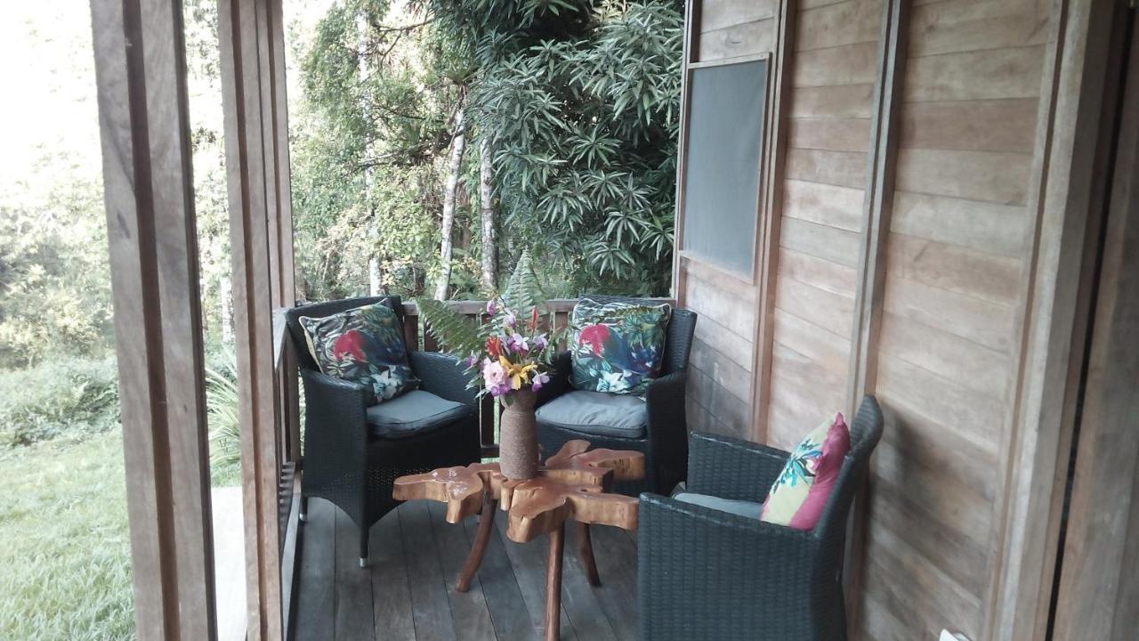 Finca Sueno De Osa Puerto Jiménez 외부 사진